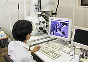 Technical department