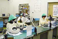 外観検査