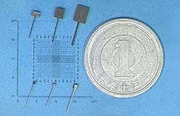 Sintered body for tantalum capacitors (with leads)